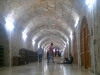 IMAG0559